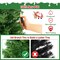 Costway 4 FT Pre-Lit Potted Christmas Tree Artificial Entrance Decor with 3 Lighting Modes